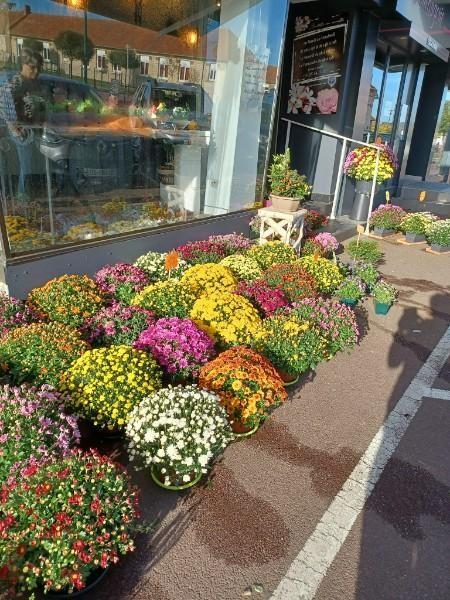 Vente de chrysanthèmes Caen