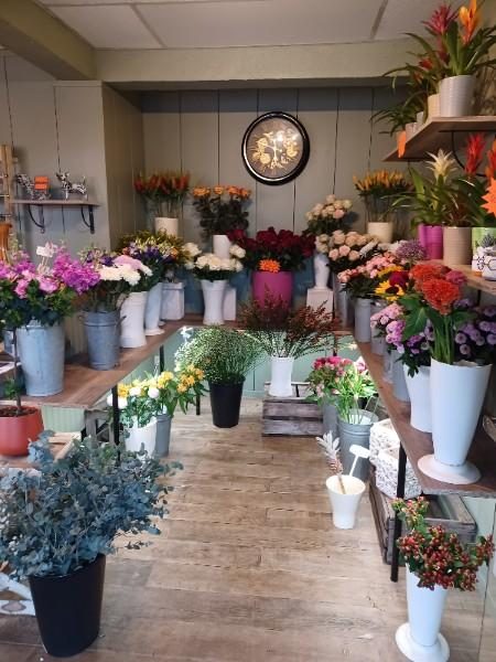 intérieur du fleuriste dis leur des fleurs 