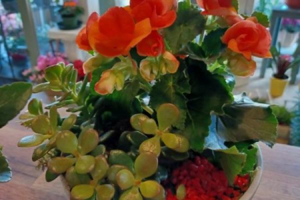 composition florale pour professionnels chez votre fleuriste de GIBERVILLE 