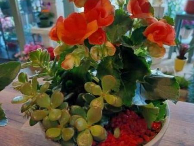 composition florale pour professionnels chez votre fleuriste de GIBERVILLE 