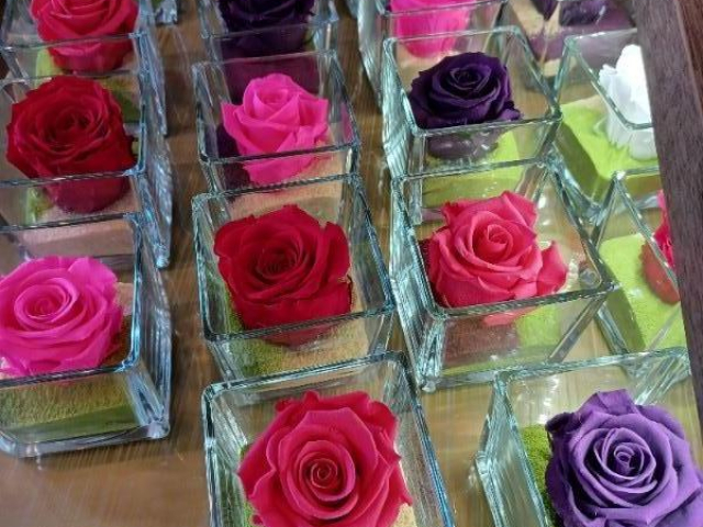Rose éternelle : choix multiple chez votre fleuriste de Giberville 